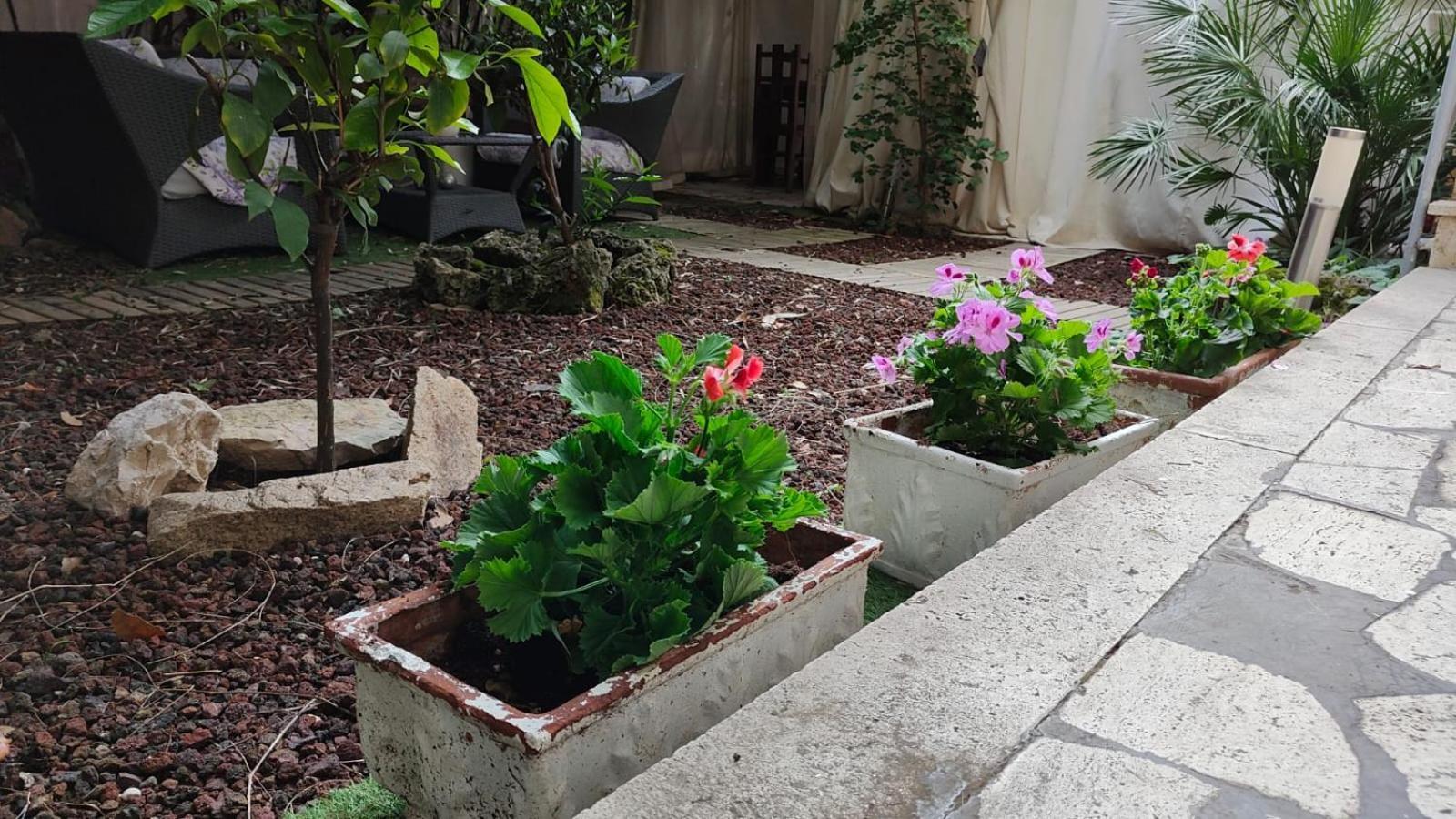 Home Garden Rome Casa Kangen Extérieur photo